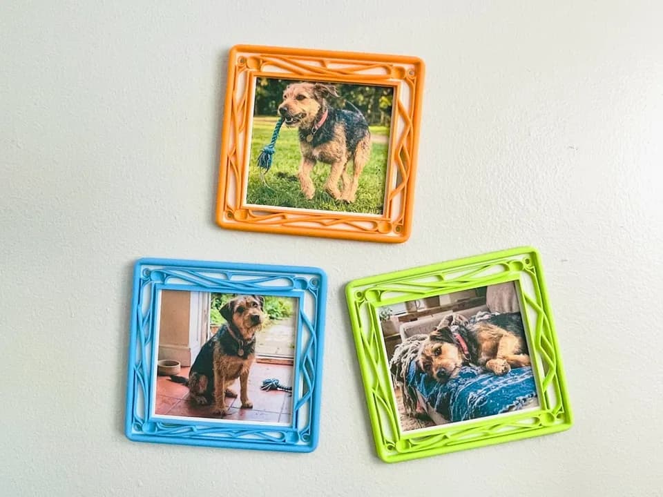 Orange, blue, and green openwork picture frames holding dog photos on a wall